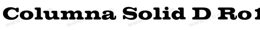 Columna Solid D Ro1字体转换